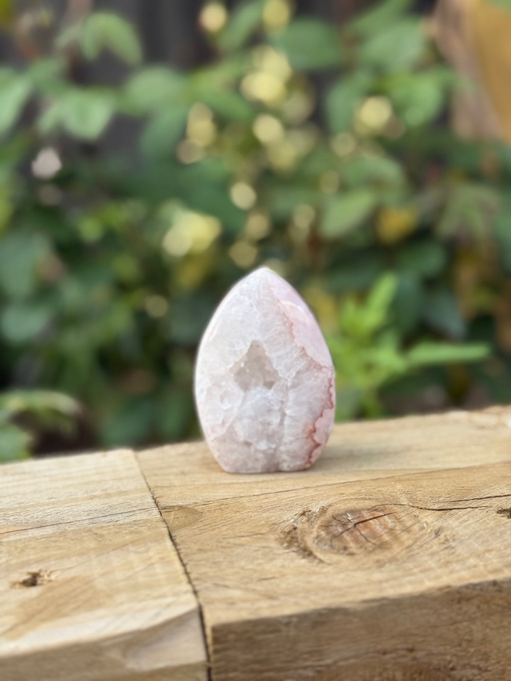 Flower Agate Freeform with Crystal Pocket Drusy