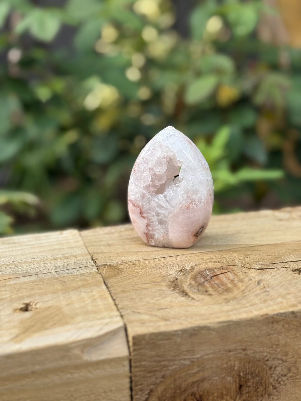 Flower Agate Freeform with Crystal Pocket Drusy