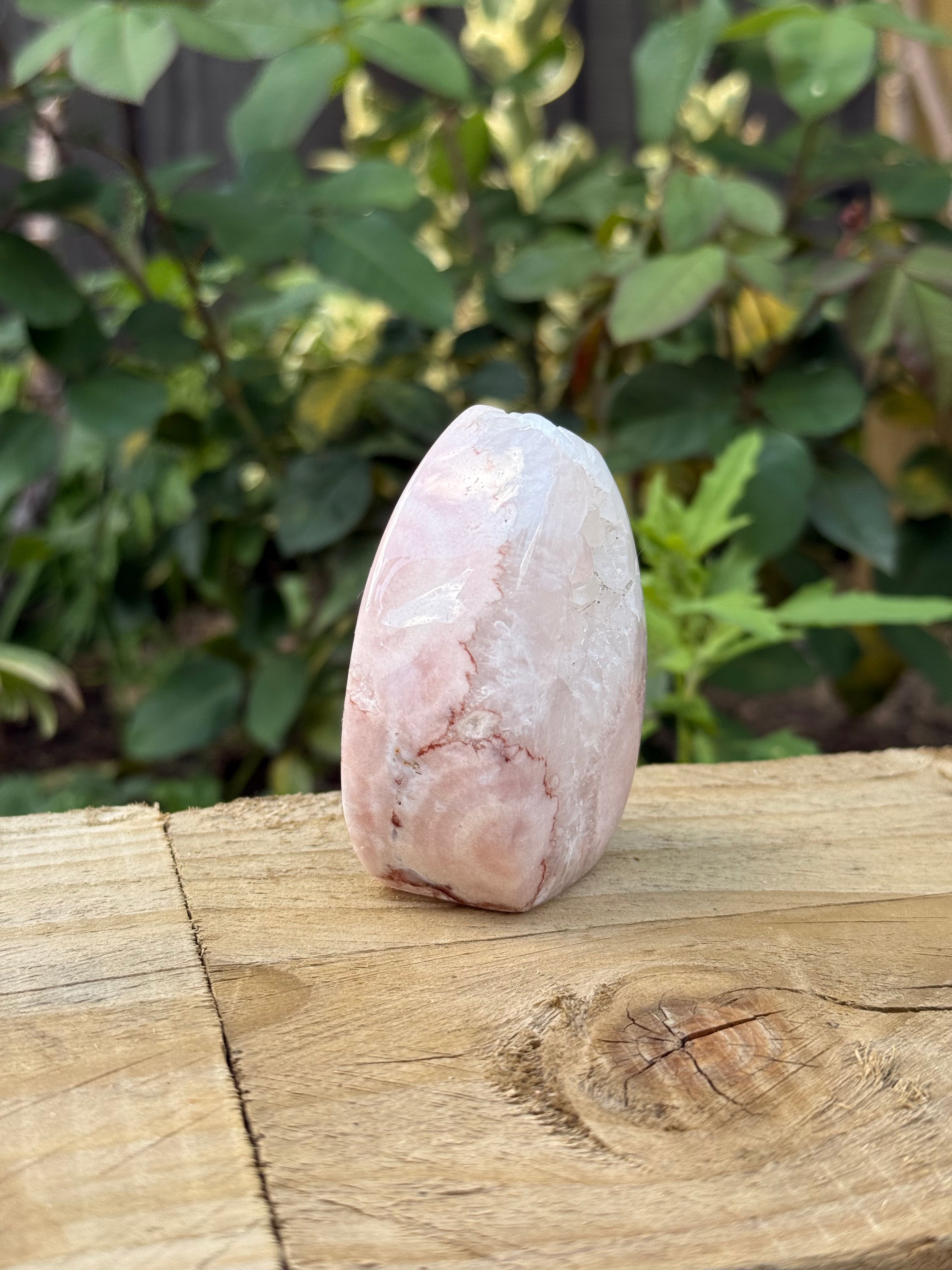 Flower Agate Freeform with Crystal Pocket Drusy